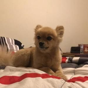 Meet your Posher, Avery